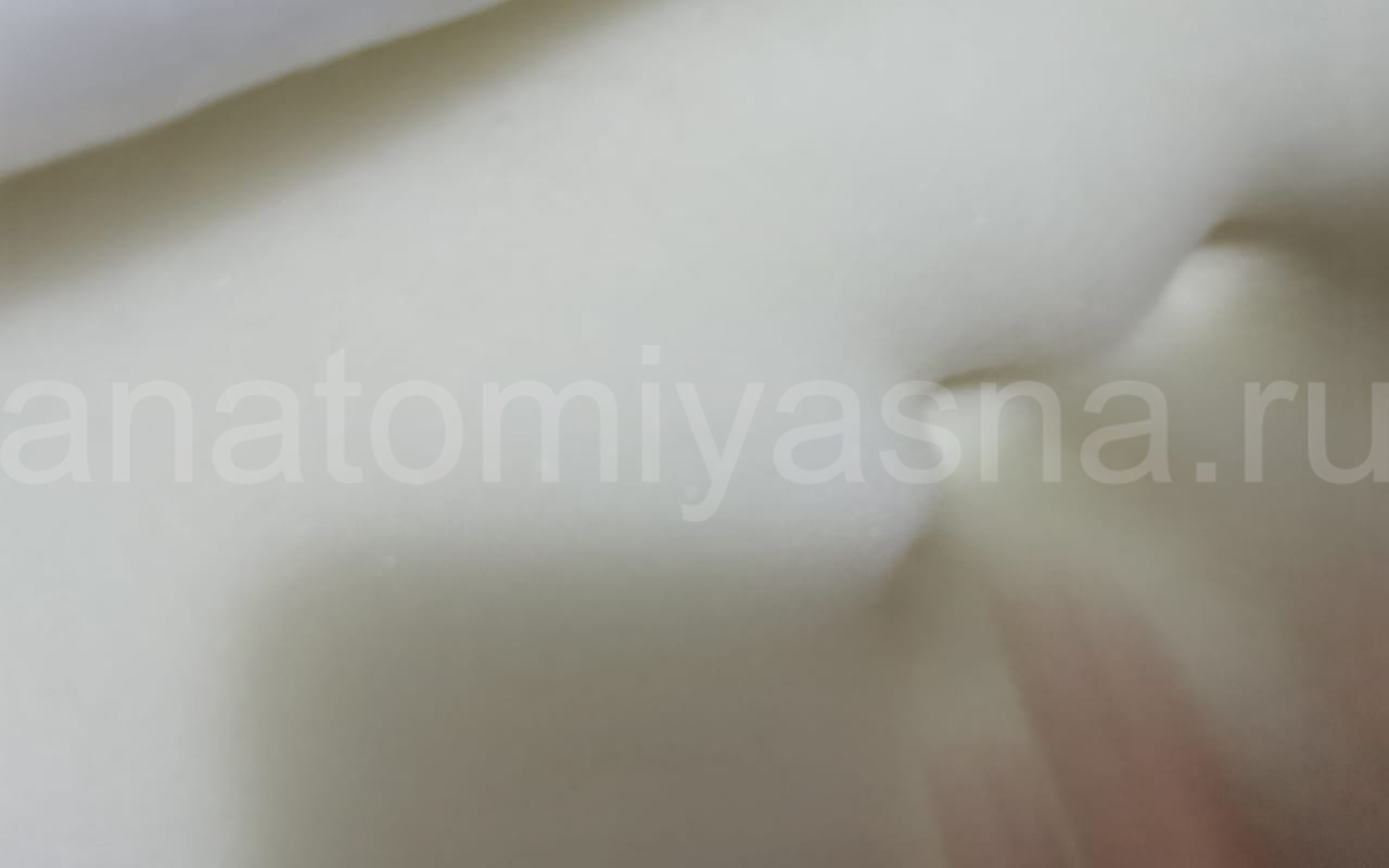 отзыв о Матрас Comfort Line Eco Roll Memory Slim фото 11